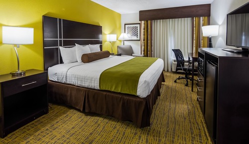 Standard Room, 1 King Bed, Accessible, Non Smoking