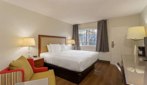 Dog Friendly Single King Non View