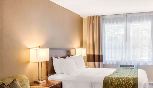 Standard Room, 1 Queen Bed with Sofa bed, Non Smoking