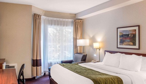 Standard Room, 1 King Bed, Non Smoking