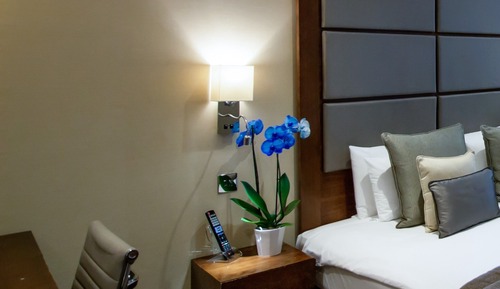 Superior Single Room