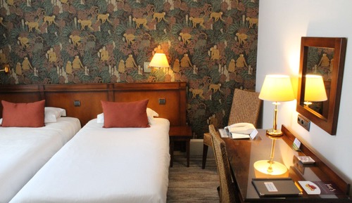 Superior Room, 2 Twin Beds, Non Smoking