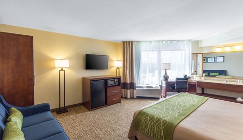 Room, 1 King Bed, Accessible, Non Smoking