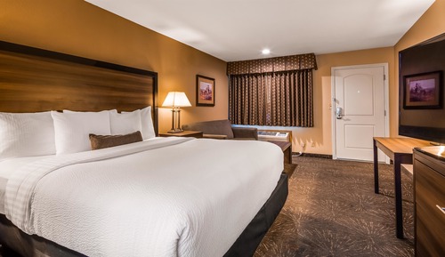 Standard Room, 1 King Bed, Non Smoking, Refrigerator & Microwave (with Sofabed)