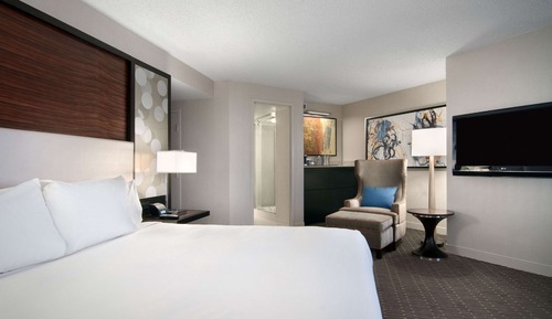 Mini suite, One King Bed