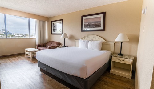 Room, 1 King Bed