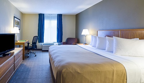 Standard Room, 1 King Bed, Non Smoking