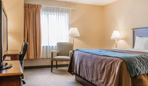 Standard Room, 1 King Bed, Non Smoking