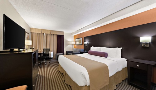 Standard Room, 1 King Bed, Non Smoking, Refrigerator & Microwave (with Single Sofabed)