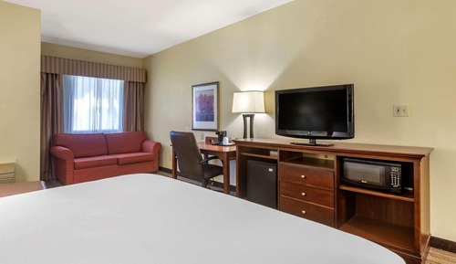 Studio Suite, 1 King Bed with Sofa bed, Non Smoking