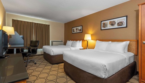Standard Double Room, 2 Double Beds, Non Smoking