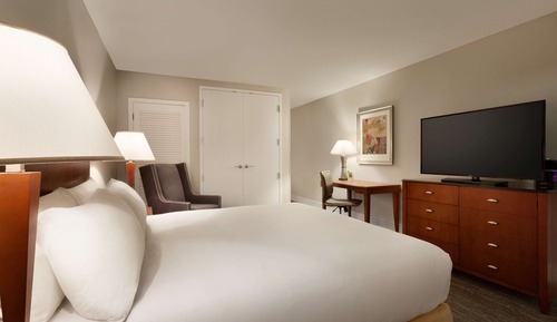 Suite, 1 King Bed with Sofa bed