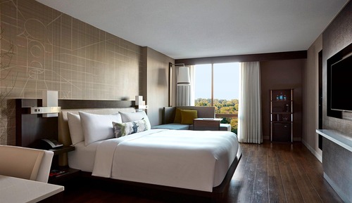 Executive Room, 1 King Bed, Non Smoking (Mobility Accessible, Roll-in Shower)