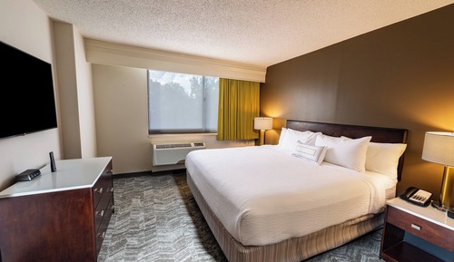 Suite, 1 King Bed with Sofa bed (Mobility/Hearing Access, Roll-in Shwr)
