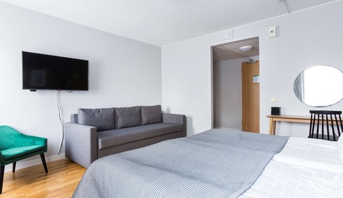 Standard Room, 1 King Bed, Non Smoking, Bathtub (with Sofabed)