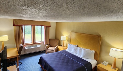 Executive Suite, 1 King Bed with Sofa bed, Non Smoking