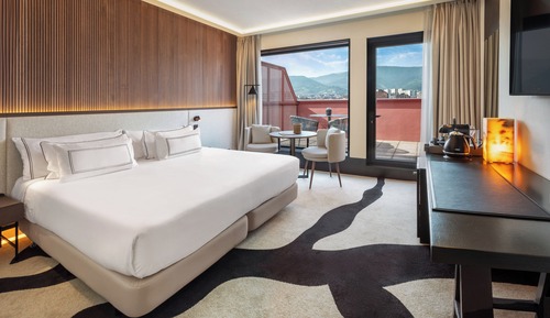 Supreme Room with Terrace The Level