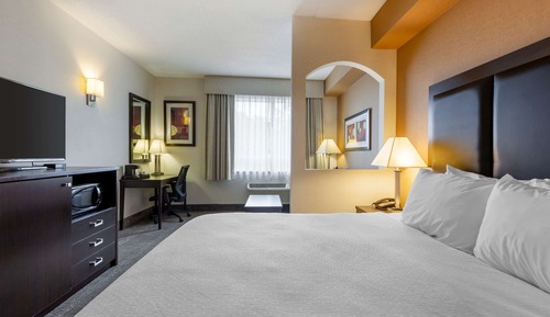 Junior Suite, 1 King Bed, Non Smoking, Refrigerator & Microwave (with Sofabed)