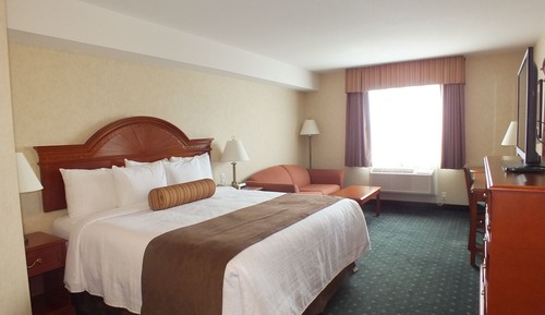Room, 1 King Bed, Non Smoking (Not Pet Friendly)