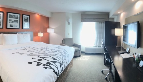 Standard Room, 1 King Bed, Non Smoking