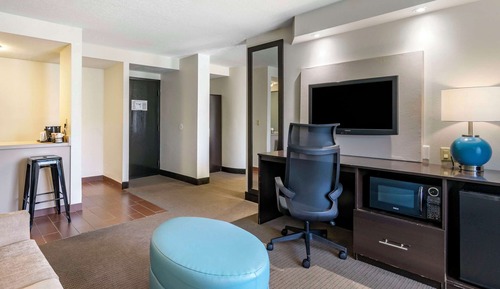 Suite, 1 King Bed with Sofa bed, Non Smoking