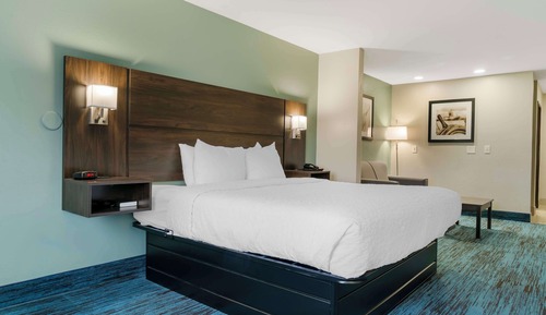 Standard Room, 1 King Bed, Non Smoking, Refrigerator