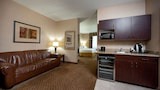 Superior Suite, 1 King Bed, Non Smoking (One-Bedroom)
