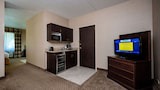 Deluxe Suite, 1 King Bed, Non Smoking (One-Bedroom)