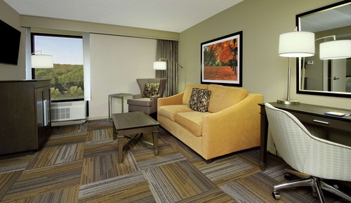 Suite, 1 King Bed, Accessible, Non Smoking