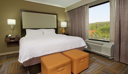 Suite, 1 King Bed, Non Smoking