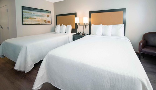 Deluxe Studio, Multiple Beds, Non Smoking