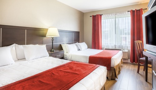 Economy Room, 2 Queen Beds