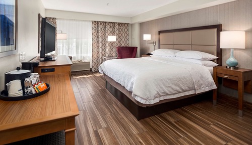 Room, 1 King Bed, Accessible, Non Smoking (Mobility & Hearing, Roll-in Shower)