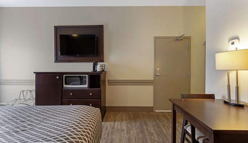 Standard Room, 1 King Bed, Non Smoking, Refrigerator & Microwave (Living Room)