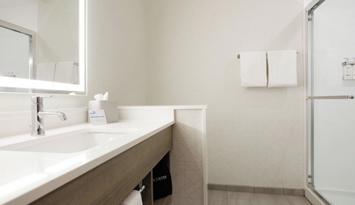 Standard Room, 1 King Bed, Roll-in Shower (Mobility, Roll-In Shower)