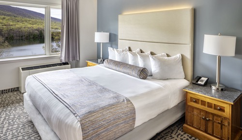 Lake View 1 King (Adults only, 21+)