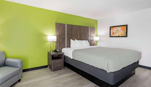 Room, 1 King Bed, Non Smoking (2 person whirlpool  in bathroom)