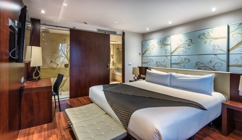 Executive Suite, 1 King Bed