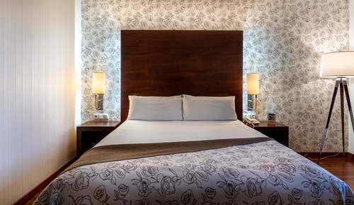 Double Room Single Use, 1 Queen Bed