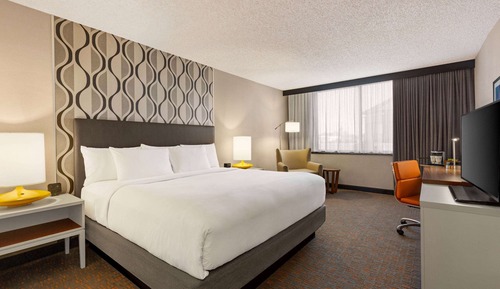 Room, 1 King Bed, Non Smoking