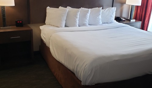 Superior Suite, 1 King Bed with Sofa bed, Non Smoking (One-Bedroom)