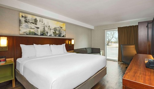 Room, 1 King Bed, Non Smoking, Ground Floor, Pet-Friendly