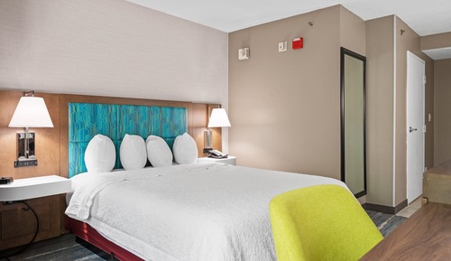 Room, 1 King Bed
