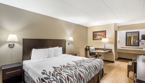 Business Room, 1 King Bed, Accessible (Smoke Free, Roll-In Shower)