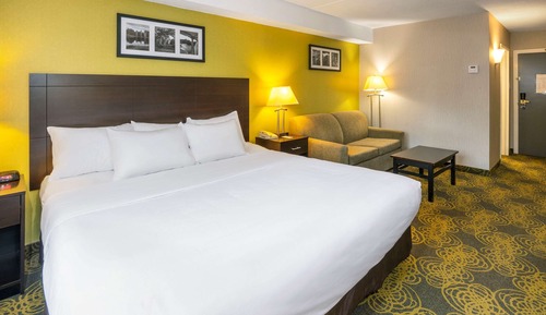 Standard Room, 1 King Bed , Non Smoking
