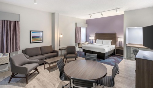 Standard Room, 1 King Bed, Non Smoking, Refrigerator & Microwave (Larger Room;with Sofabed)