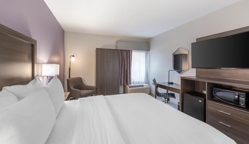 Standard Room, 1 Queen Bed, Accessible, Refrigerator & Microwave