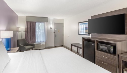 Standard Room, 1 King Bed, Smoking, Refrigerator & Microwave