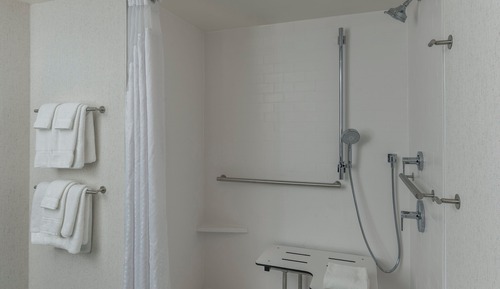 Standard Room, 1 King Bed, Roll-in Shower (Accessible, Pet Friendly)