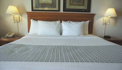 Room, 1 King Bed, Non Smoking